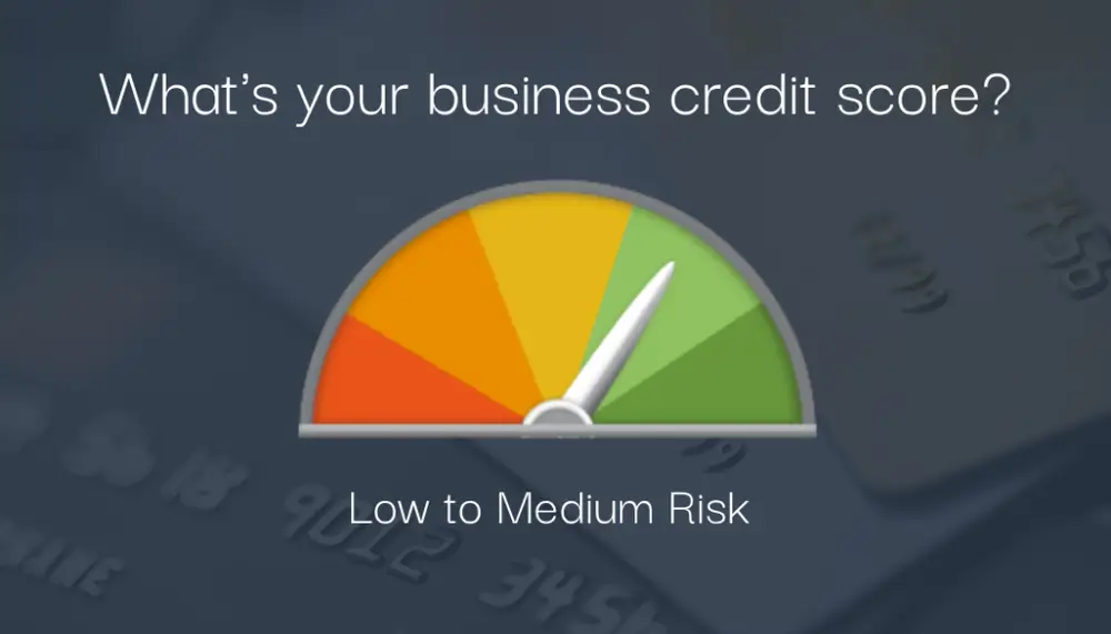 Business Credit Score - Risk